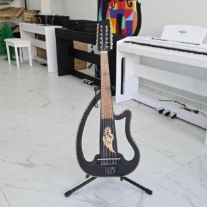 Profesyonel Elektrikli Ud Ecolayzer