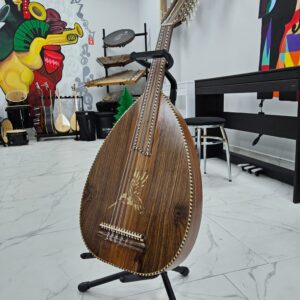 Ud profesyonel sahne udu