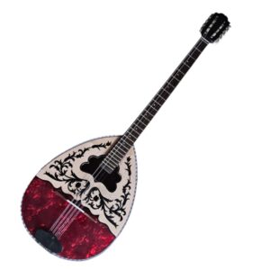 Buzuki profesyonel tam set kalite sahne buzukisi