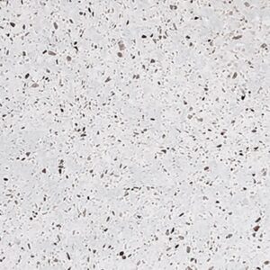 iç mekan karo sm-10