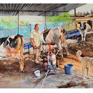 Akşam güneşinde süt sağma vakti