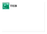 Türkiye Ekonomi Bankası (TEB) logosu