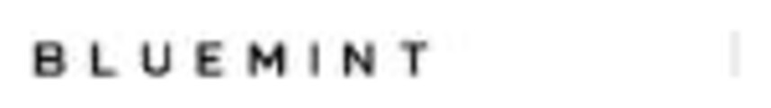 Bluemint logosu